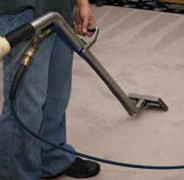 ניקוי שטיחים